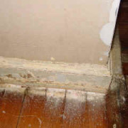 Spray 2 feet up on wall, let run down behind molding.